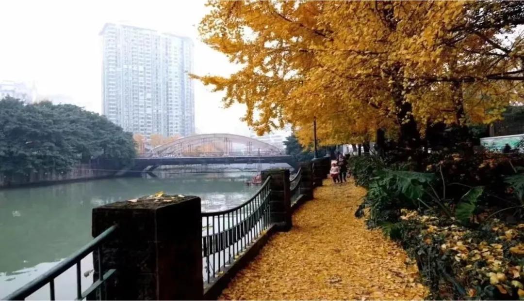 李镇西说最好的教育莫过于,李镇西怎么教育女儿