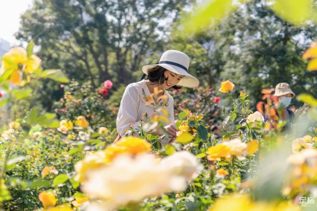 深圳3月14个赏花胜地全部免费,深圳清明节踏青赏花好去处