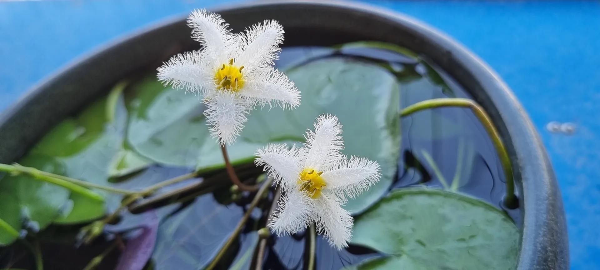 我在韩国的生存之道（4）