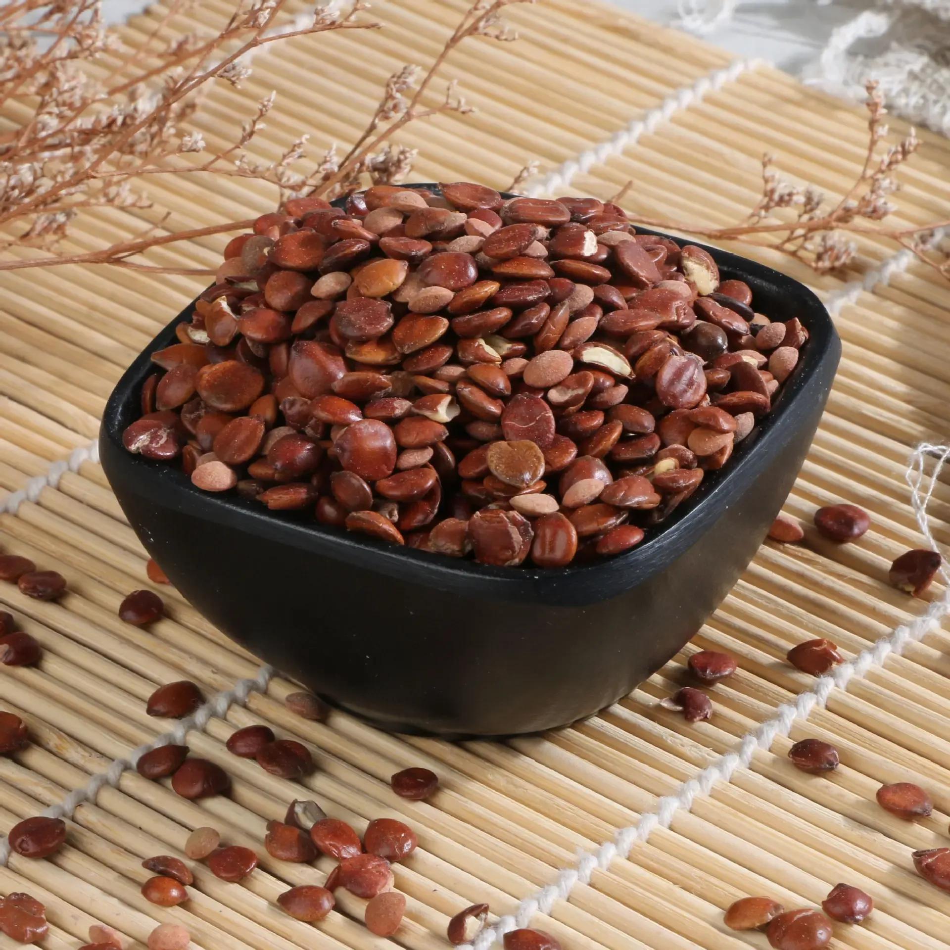 河北内丘柳林酸枣仁,河北内丘酸枣仁视频