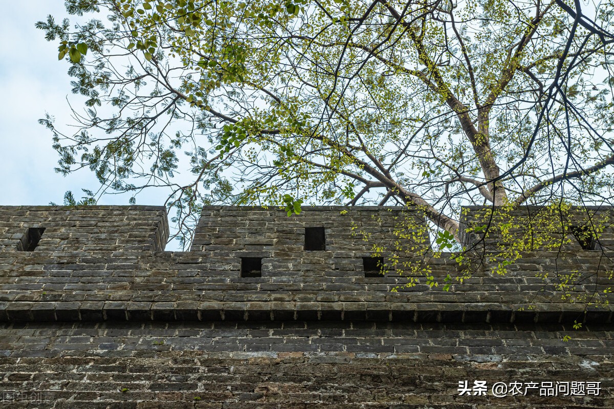 广州海珠区华南农产品批发市场,广州市东洲农产品市场