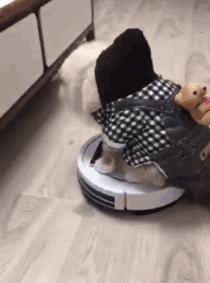 30万娶老婆搞笑视频,妻子输光200多万丈母娘退货