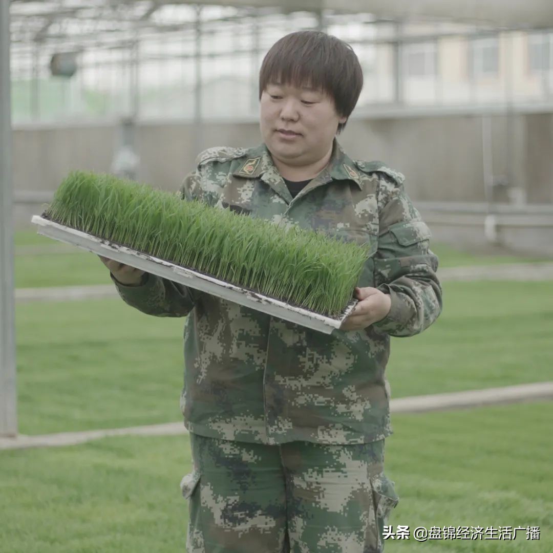 大连市五四青年奖章获得者,盘锦五四奖章名单