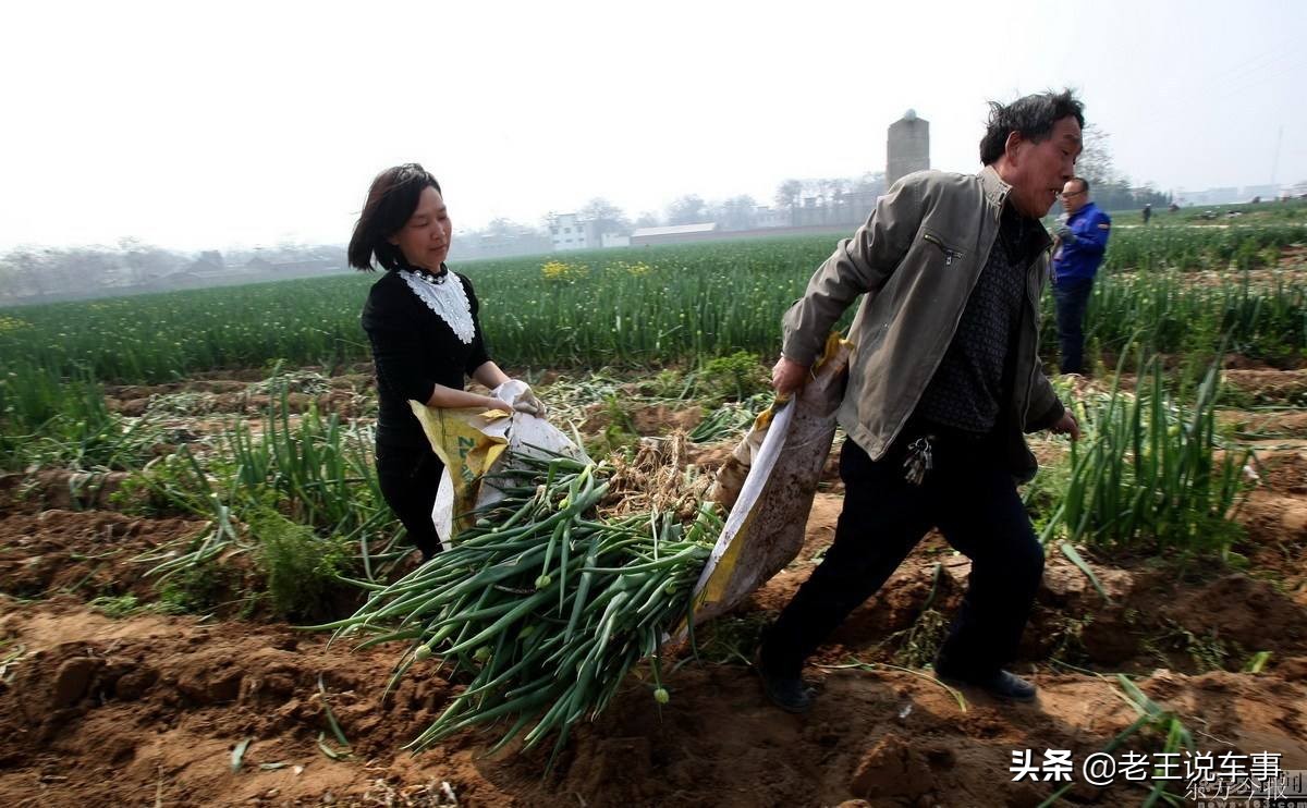 汽车拉东西被查罚款是多少,客运车拉自己的东西违法吗