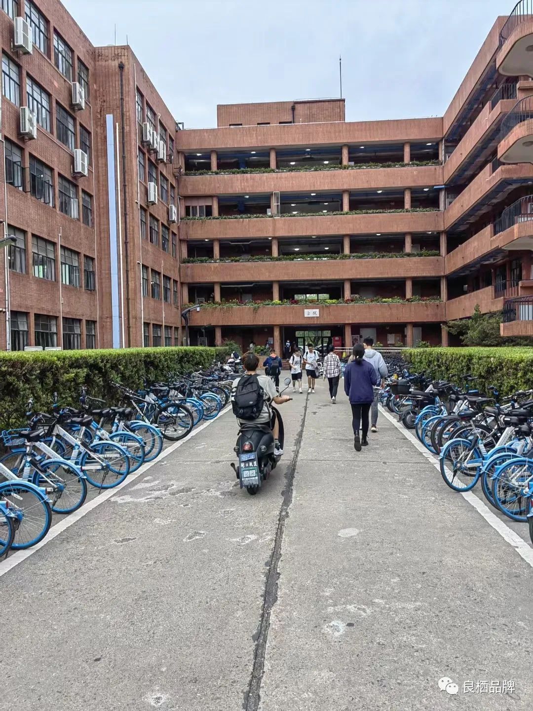 良栖专家在交通大学和本科生分享从时尚品牌案例解析创新创意创业