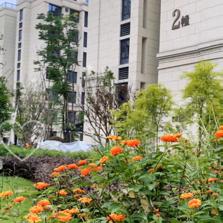 搬家公司#今日分享视频