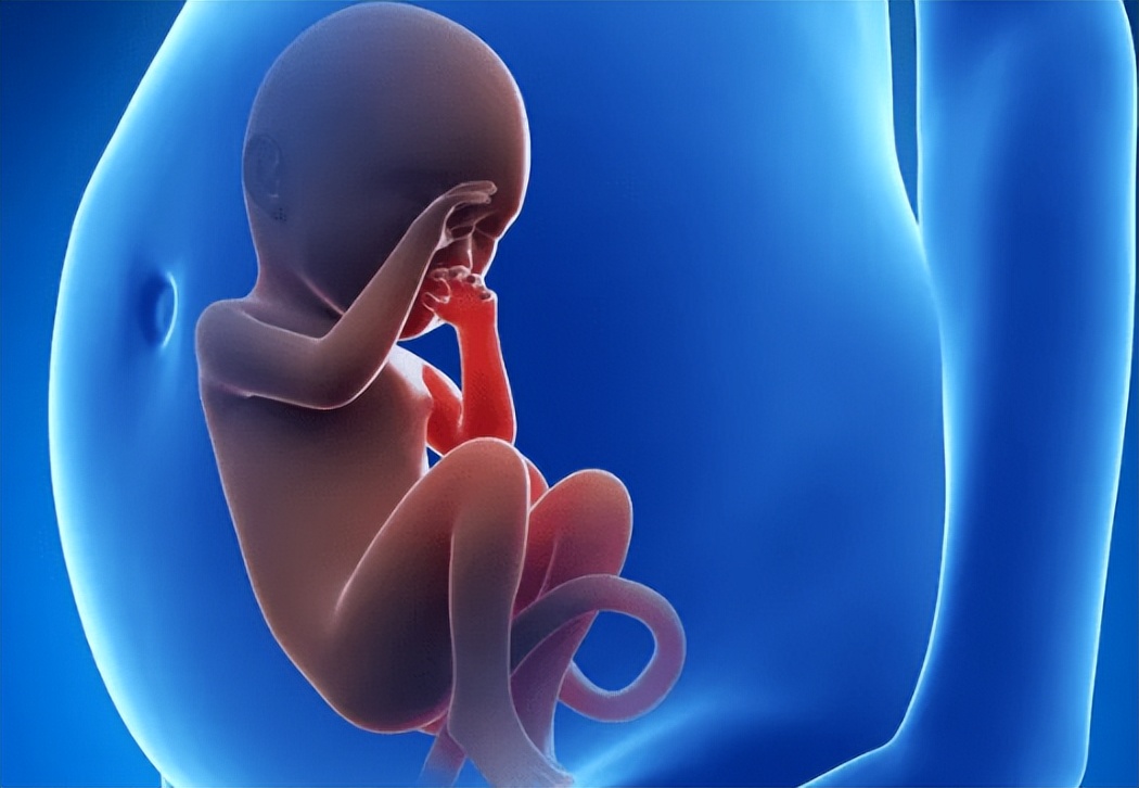 胎儿在母亲肚子里会排便吗,胎儿在妈妈肚子里是怎么排泄的