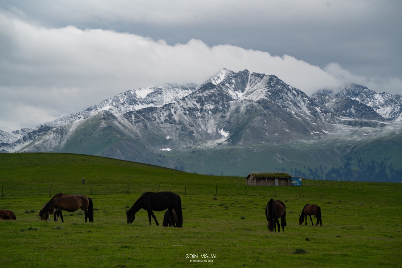 去新疆发现伊犁的美,世界之美尽在伊犁
