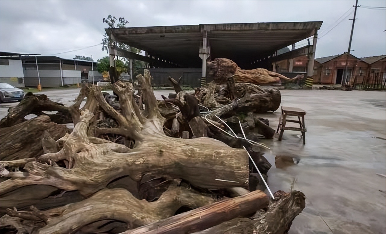 广西一男子雕出15米雄狮，出价300万都不卖，如今闲置无人问津