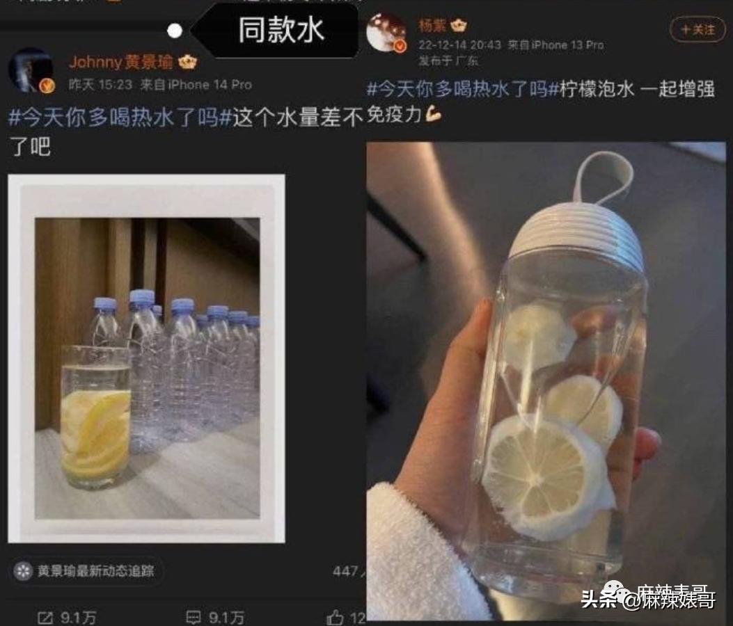 热带鱼cp是哪个,热带鱼cp是真的吗