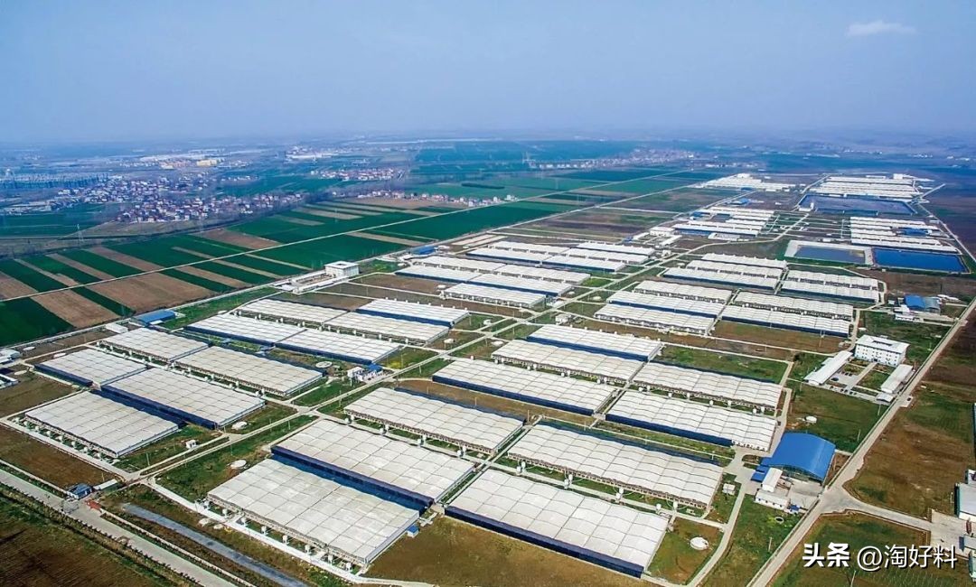中国现在有多少大型养殖场,全国最大的养殖场排名前十