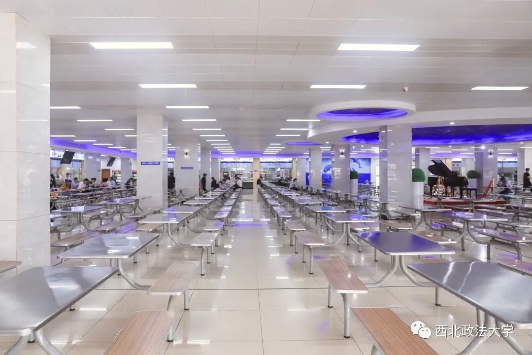 西北政法大学计划外招生,2024西北政法大学招生简章最新