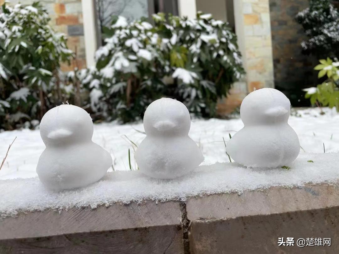 堆雪人创意大赛活动方案,堆雪人大赛活动