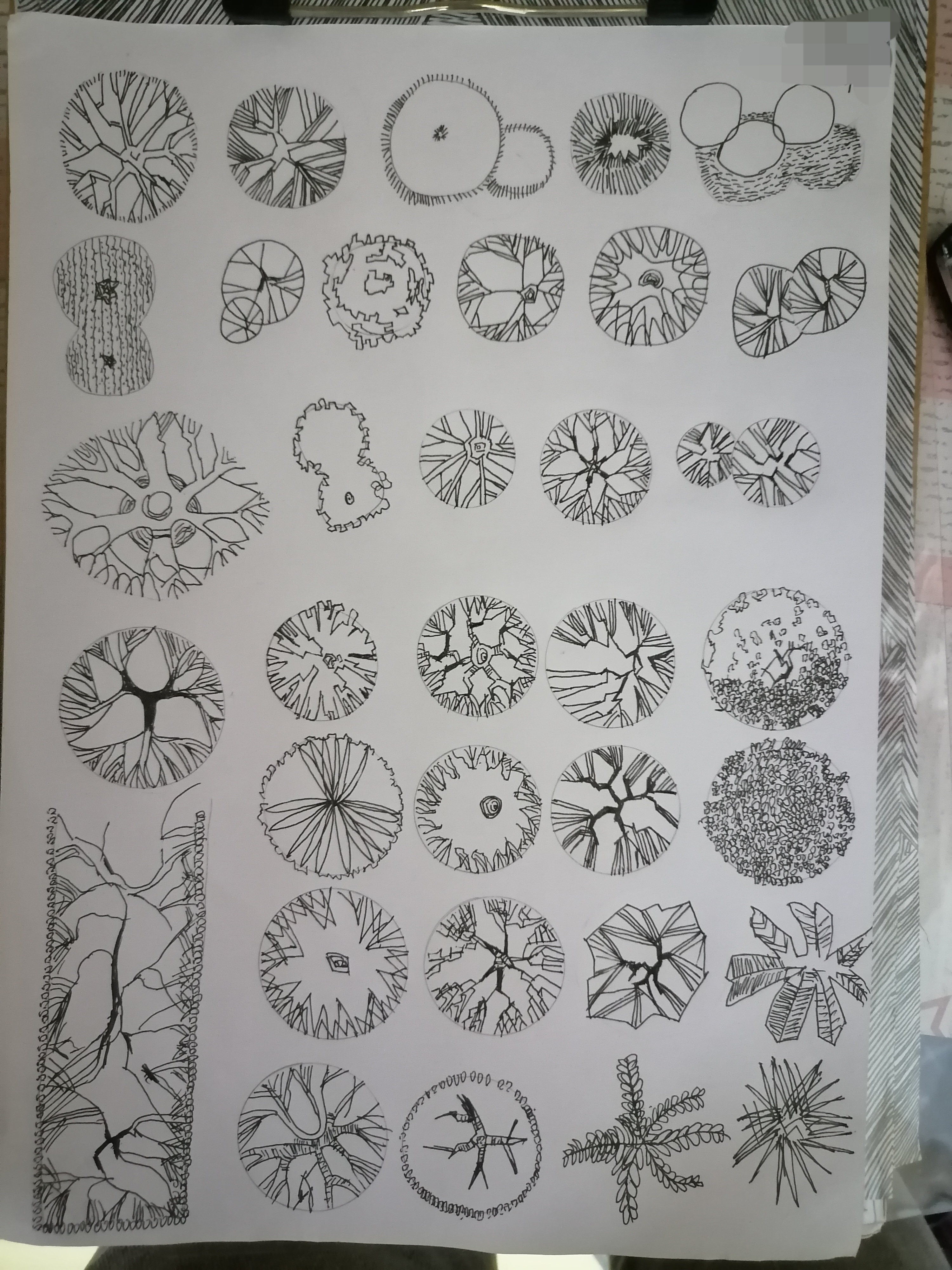 建筑学专业手绘基础推荐,建筑学手绘怎么排版