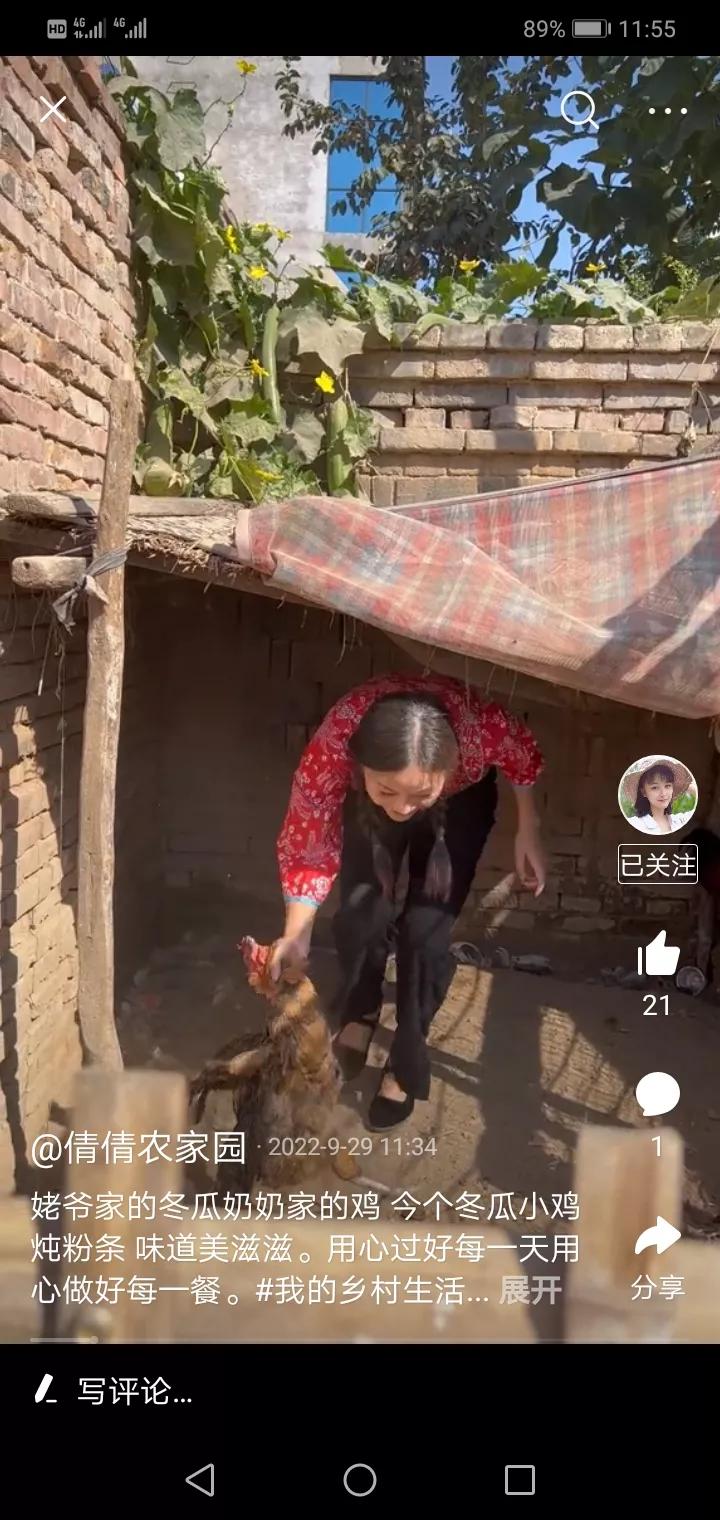 奶奶家养的鸡不给鸡吃东西,奶奶养的鸡逃了