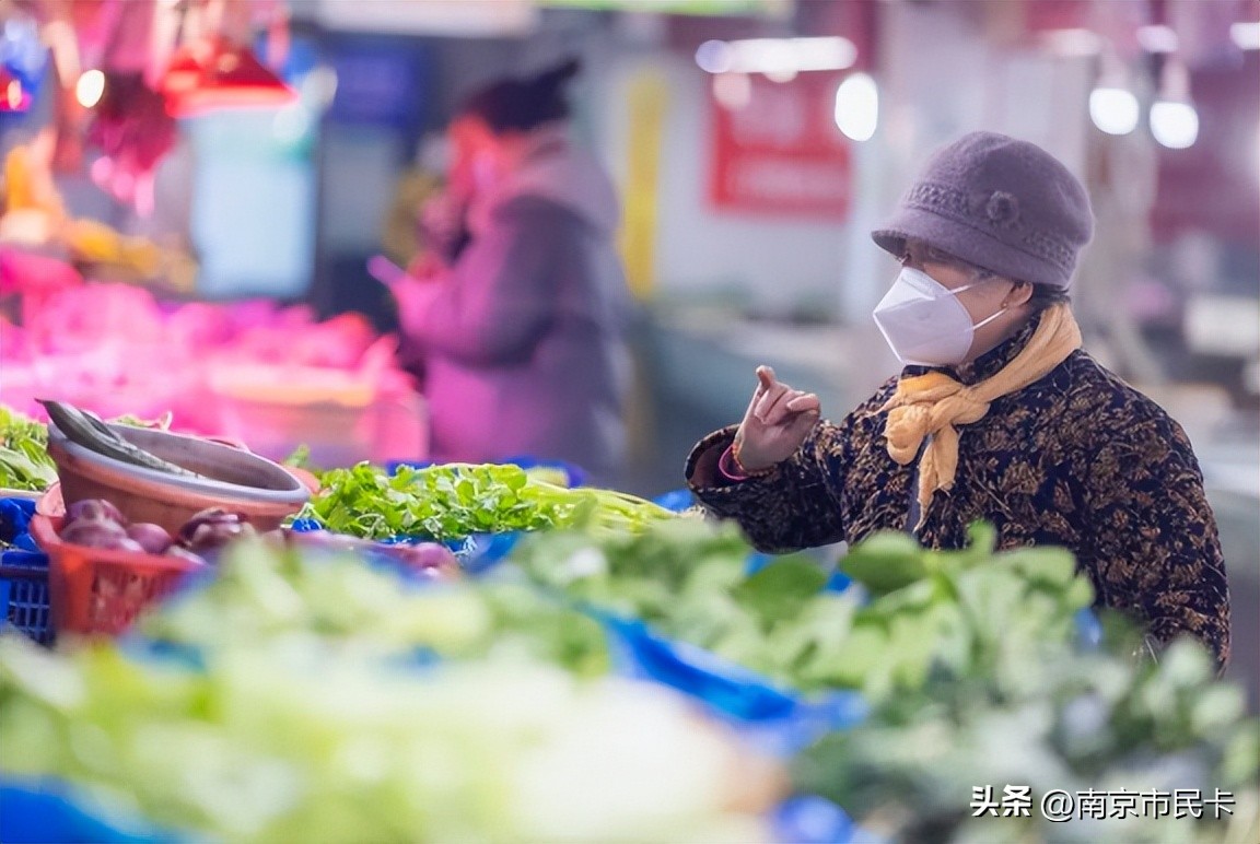 南京金陵春光旅游,金陵之春旅游攻略大全