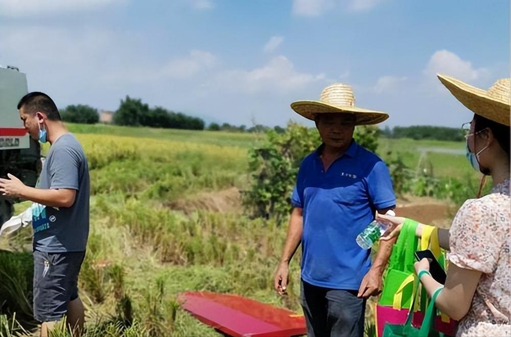 小麦收割跨区作业证,严查跨区作业证导致收割机被扣