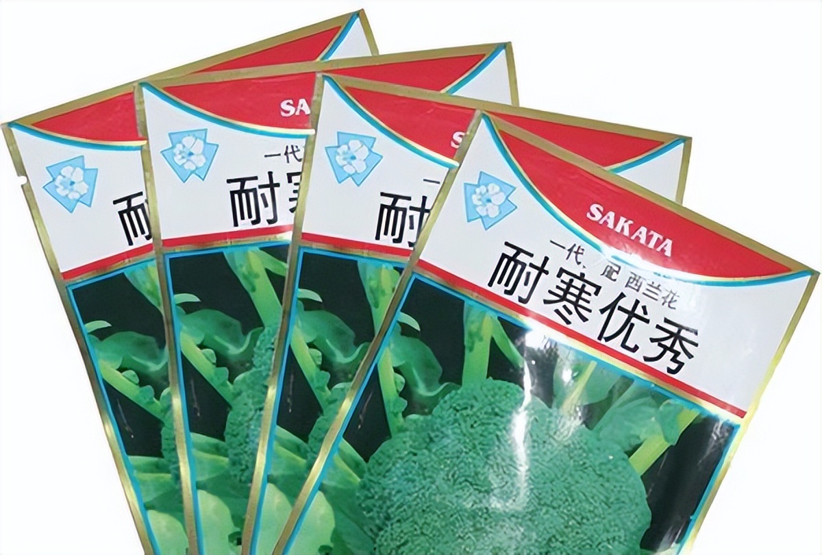 日本垄断西蓝花种子，一年赚取农民几十亿，我国正在加快国产化