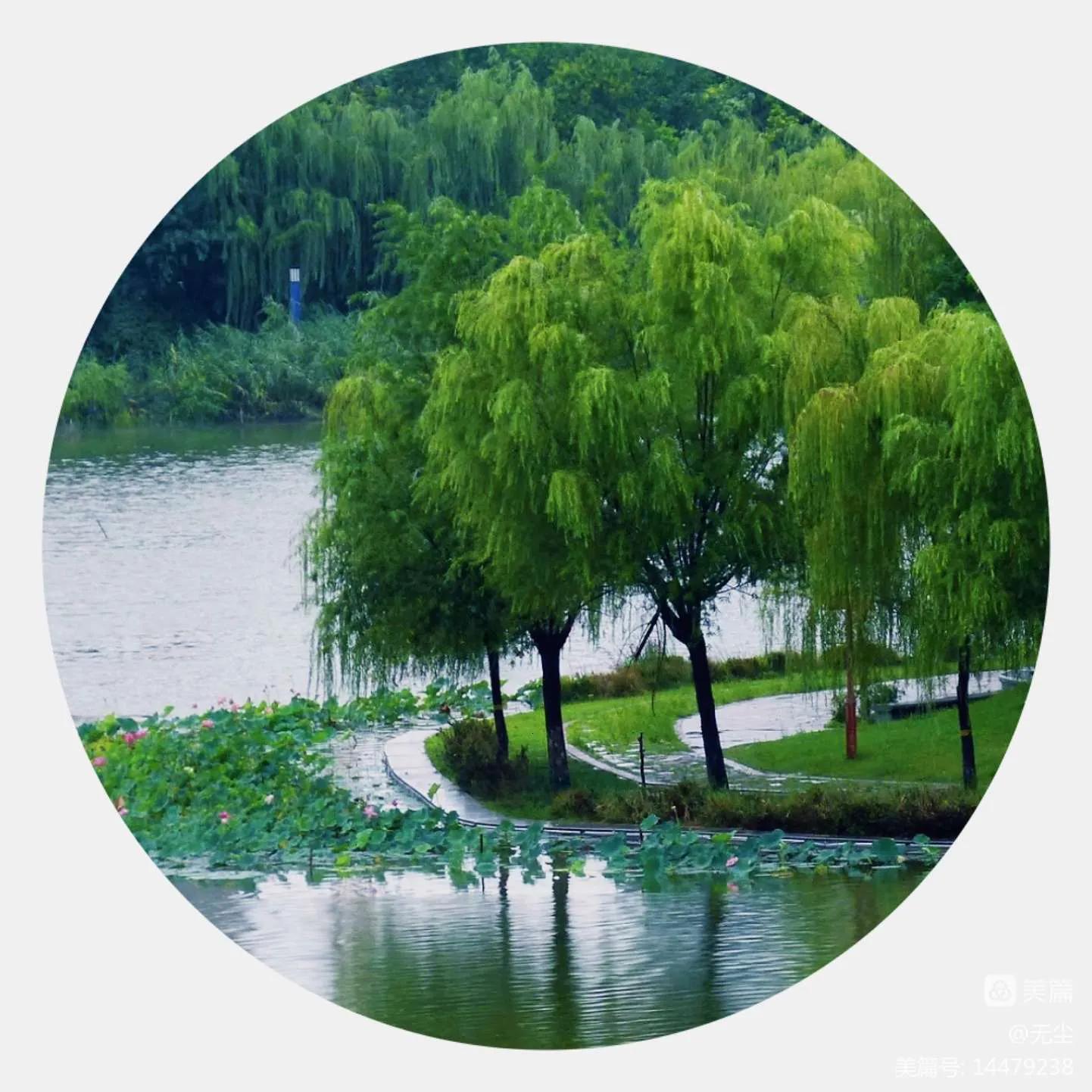 我的家乡鹿邑老子故里作文,我的家乡鹿邑作文400字怎么写