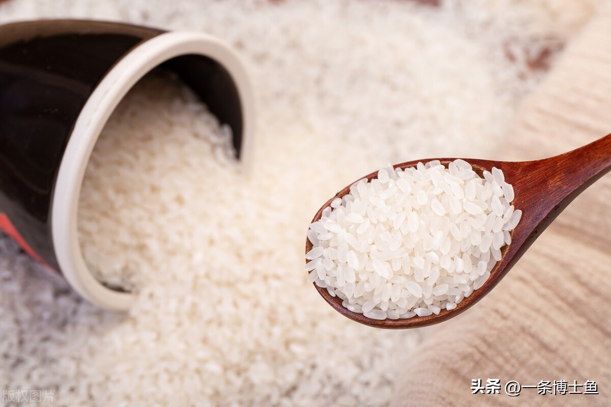 泰国香米和五常大米测评,五常大米和泰国香米推荐