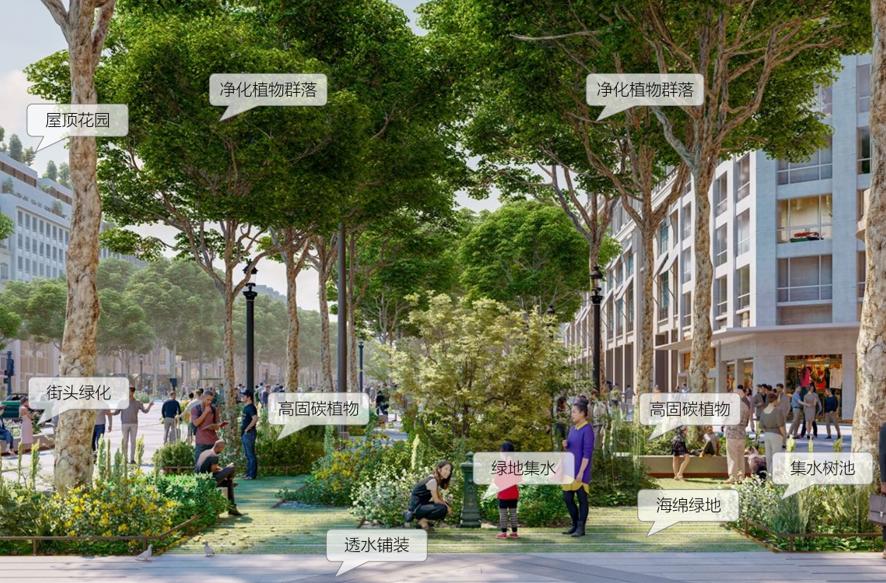 双碳下的城市设计,双碳目标背后的深刻意蕴论文