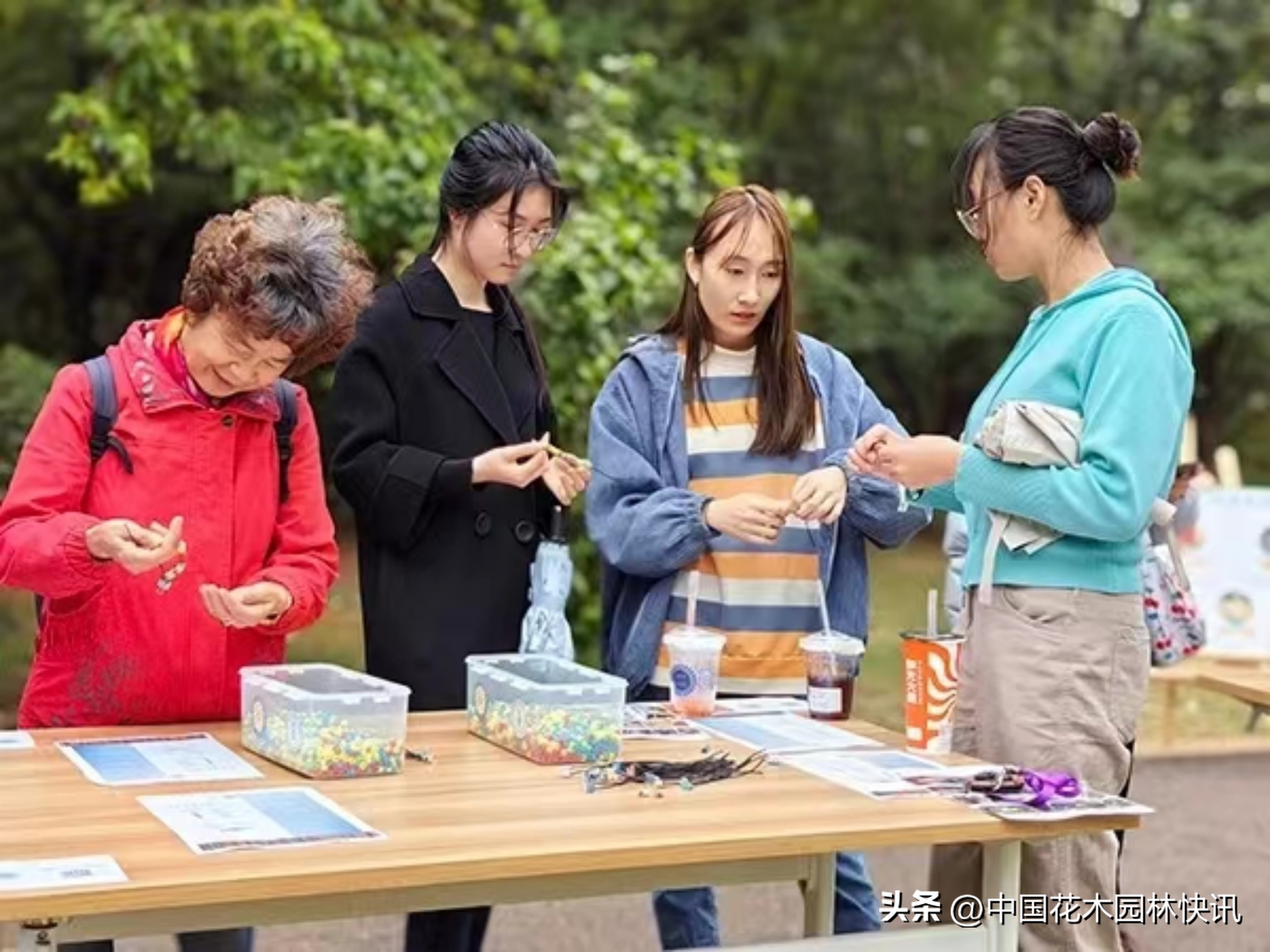 昆明植物研究所直播,云南省昆明市植物研究所