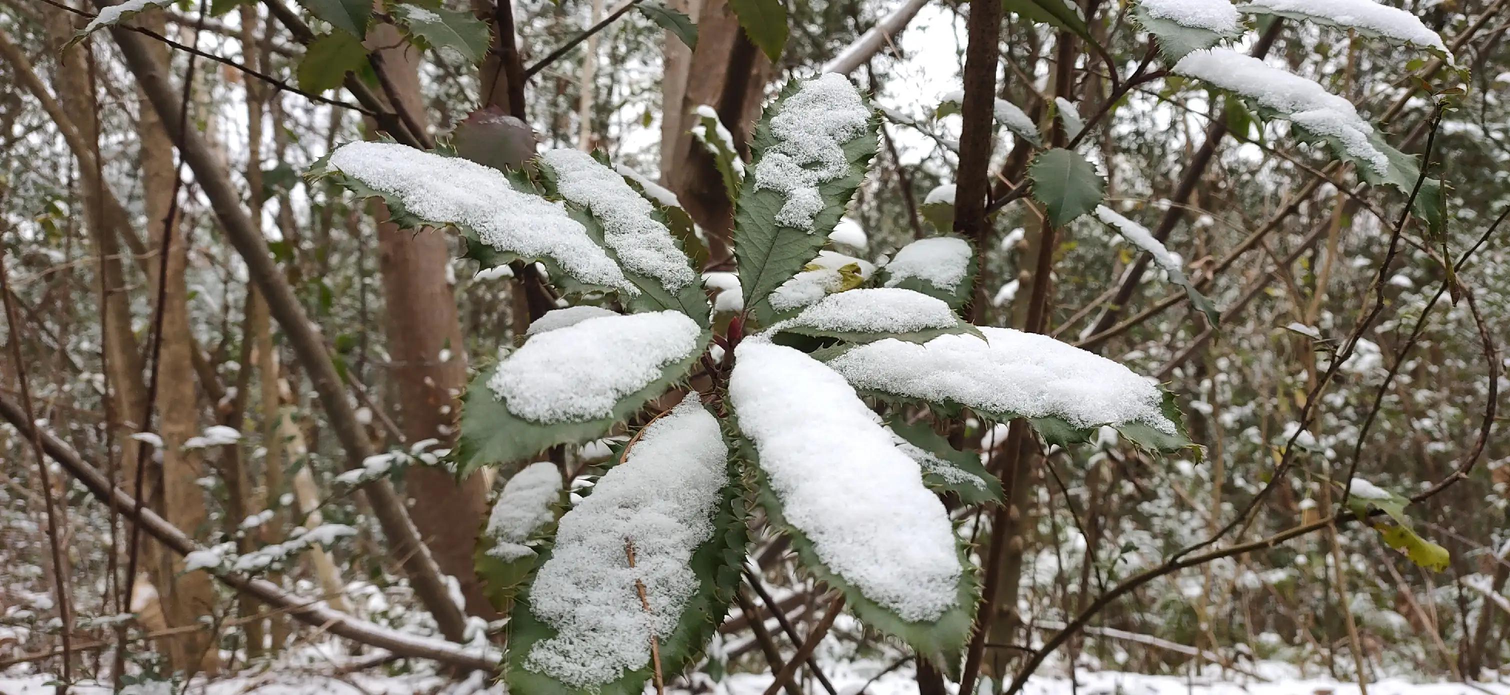 闄や簡閯欒杩樻槸閯欒,娌夐粯灏辨槸閯欒