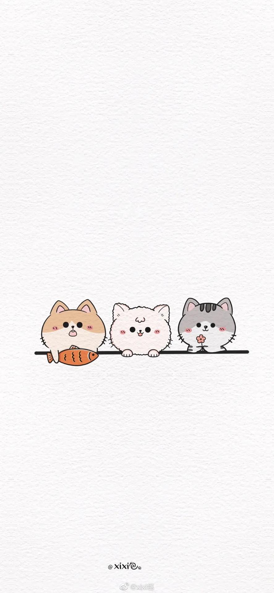 手机壁纸聊天背景图片高级感,微信聊天背景壁纸白色简约