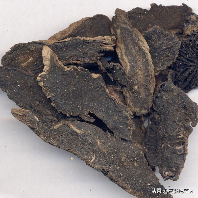 高鹏说药材：郁金、天麻、丹参、北沙参、牡丹皮、玄参等行情简析