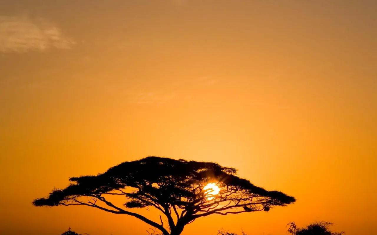 “平”鉴天下2:开天辟地话《尧典》——《尧典》鉴评