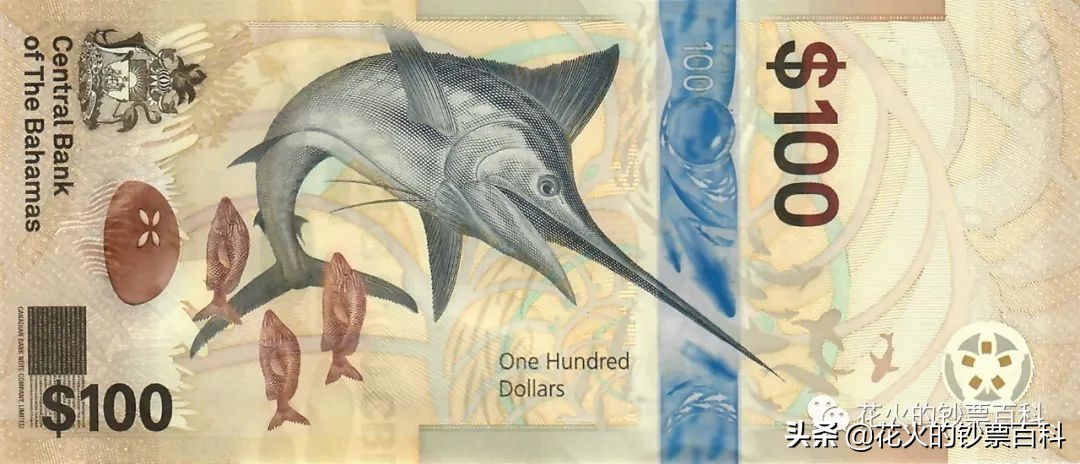 预测一下2021年的IBNS世界最佳纸币，我国冬奥塑料钞入选提名