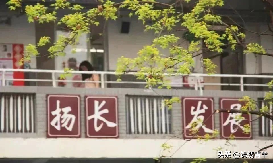 成都青羊区教师招聘信息,成都市青羊区教师招聘公告