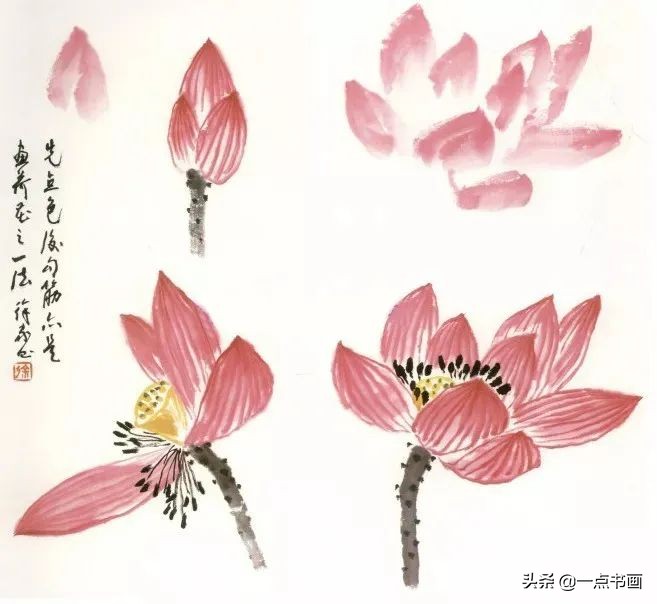 鍥界敾鑽疯姳鐢绘硶瑙嗛,娉煎ⅷ鑽疯姳鐢绘硶瑙嗛