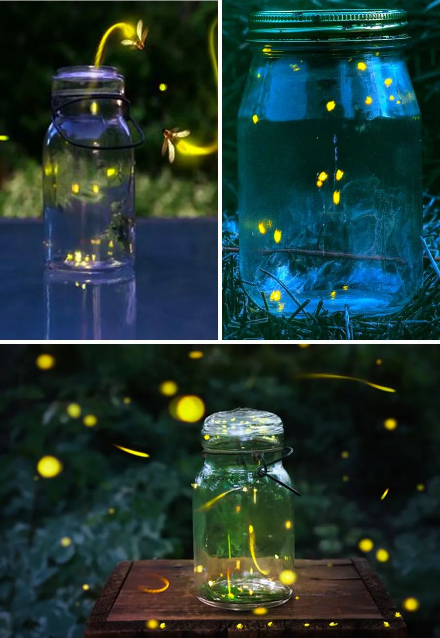 萤火虫的画法儿童画,夜晚怎么画简单又漂亮萤火虫