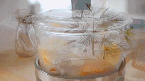 厨房锅子怎么选,家庭厨房最实用的锅