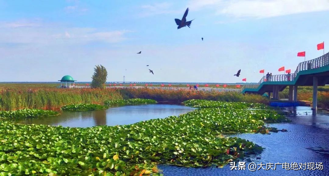 城市嘉年华庆典,城市嘉年华主题