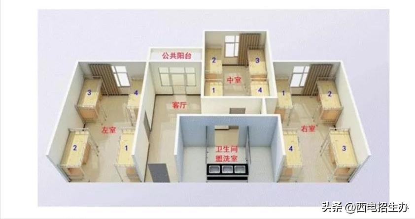 5星好评,西电软科最新排名