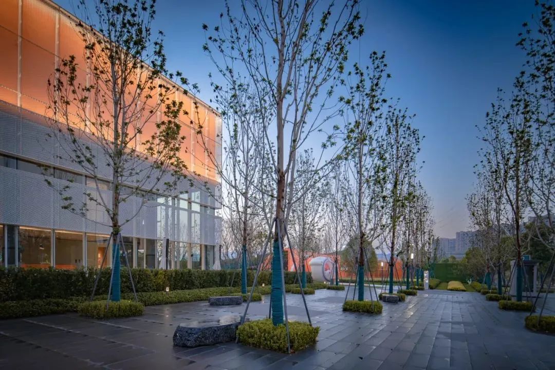 把家弄成游乐园是什么样的,把家打造游乐场是什么体验