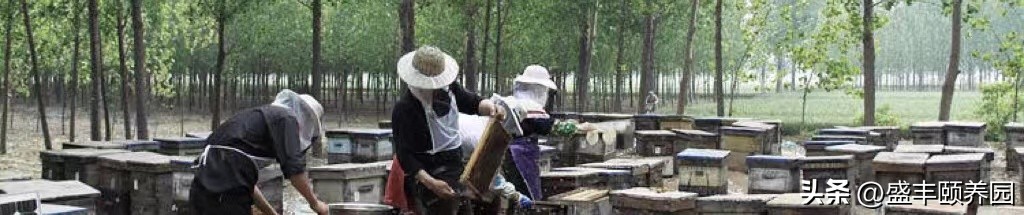 米粉蒸肉有颗粒感,蒸米粉肉是不是一道美食