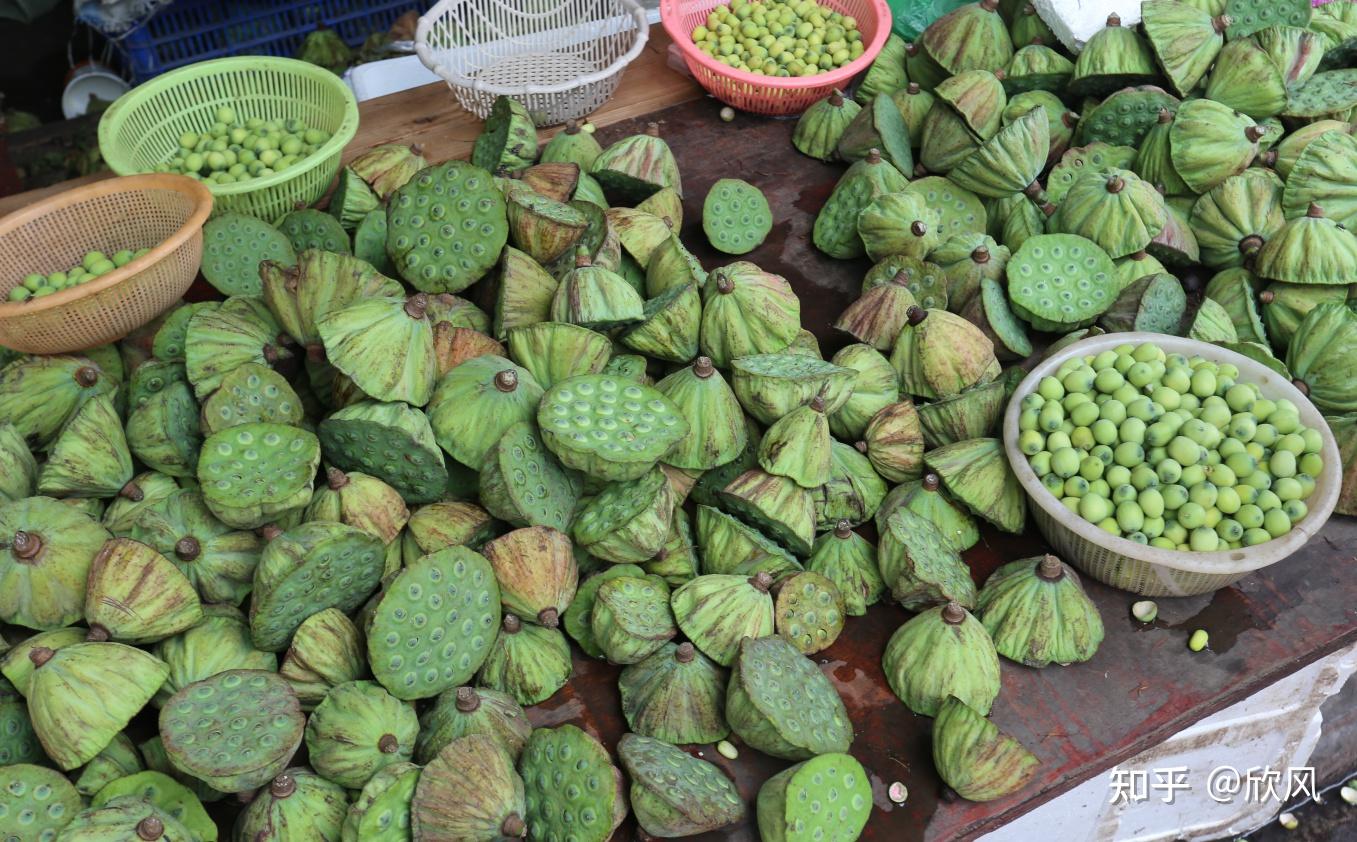 2-3天适合去哪里旅游湖北,湖北十堰旅游攻略三日游