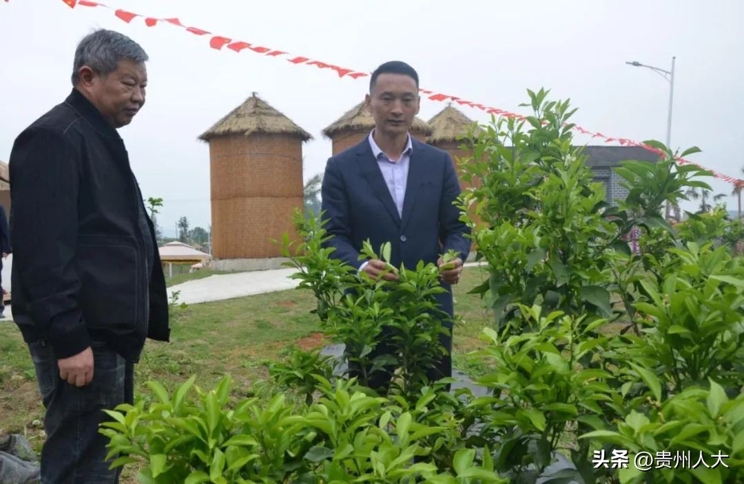 新时代人大代表风采|丁光明：返乡创业“追梦人”群众致富“引路人”