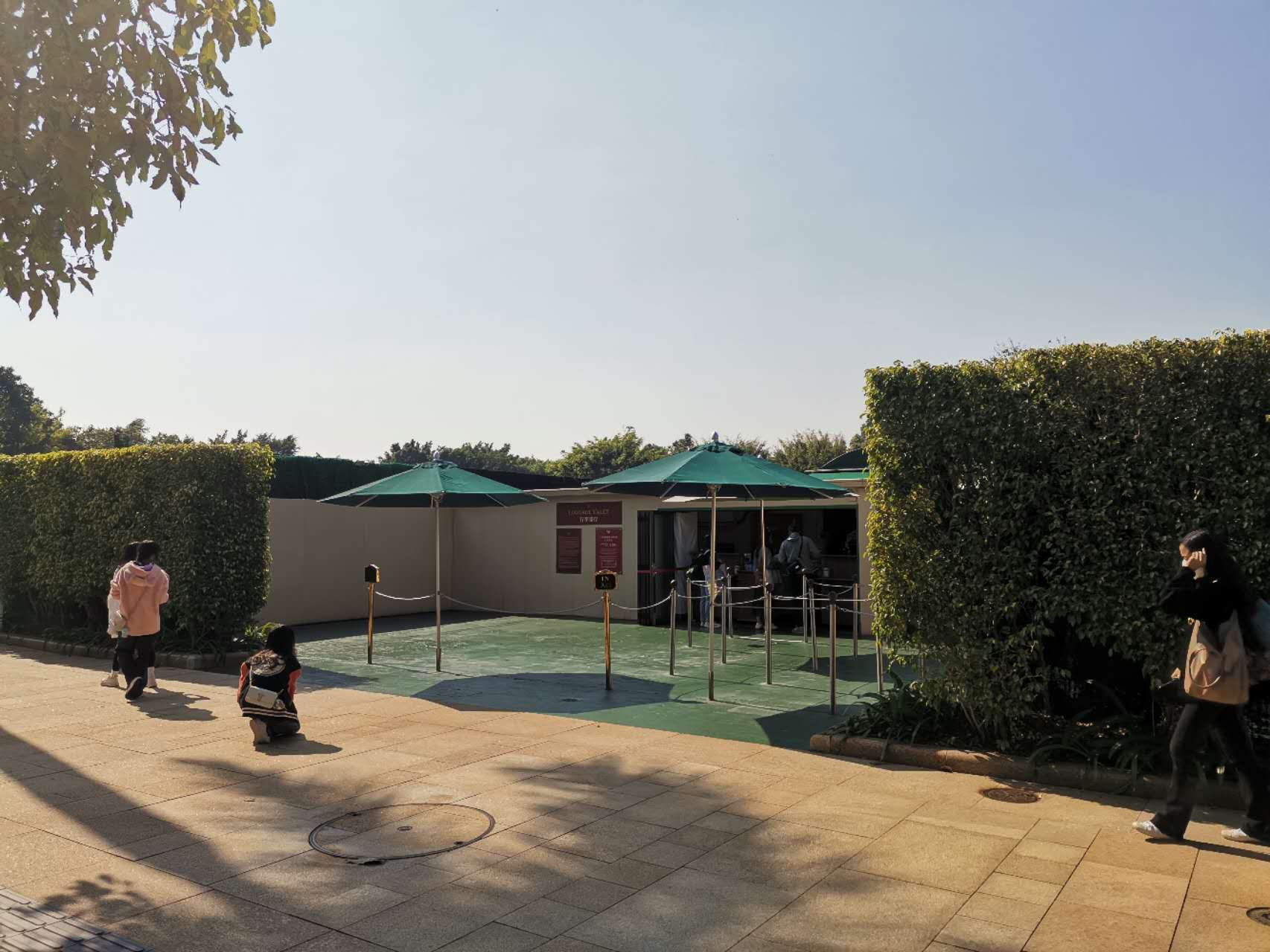 香港迪士尼和香港海洋公园哪个大,香港迪士尼过山车视频