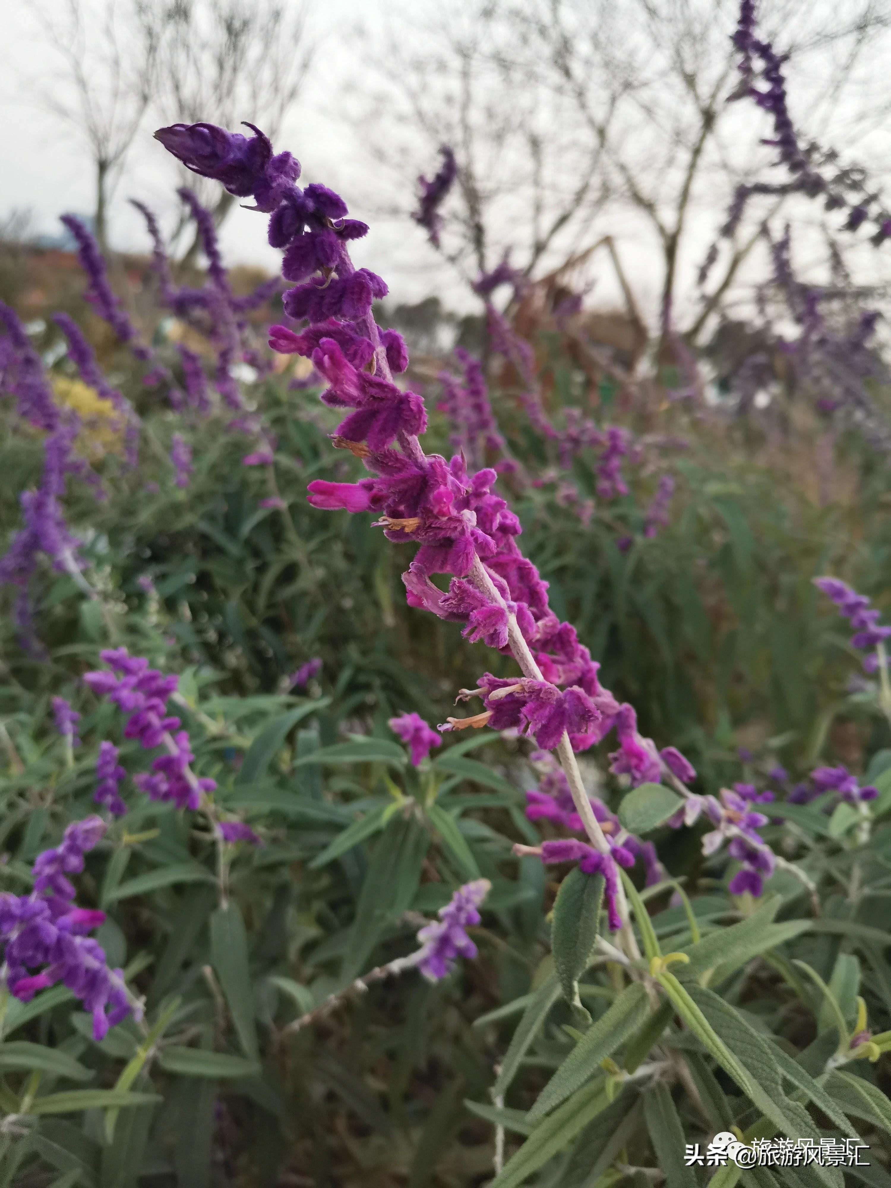 郑州带娃打卡好去处免费公园,郑州北龙湖湿地公园网红打卡圣地