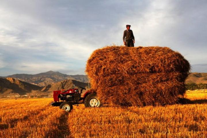 发达国家对农业多实行财政补贴,发达国家对农业的政策
