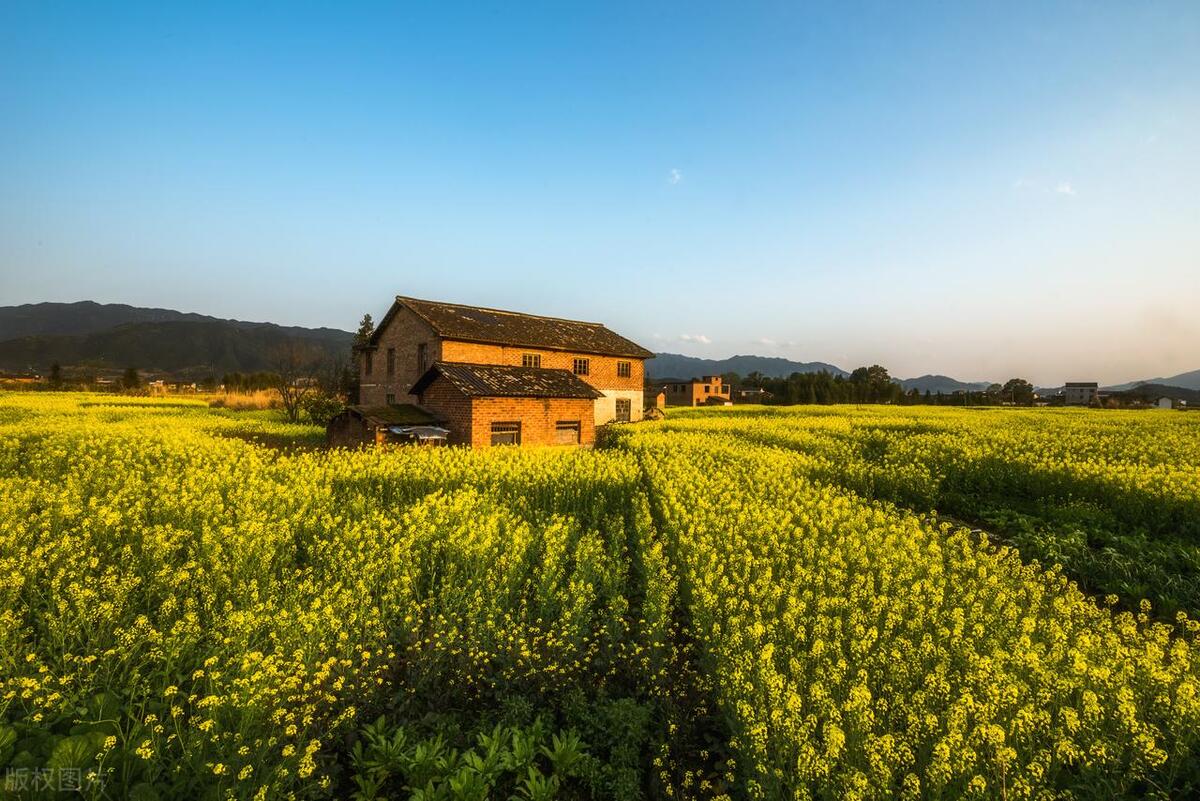 我帮同事带东西还没给我钱怎么办,我帮朋友带东西没给我钱怎么办