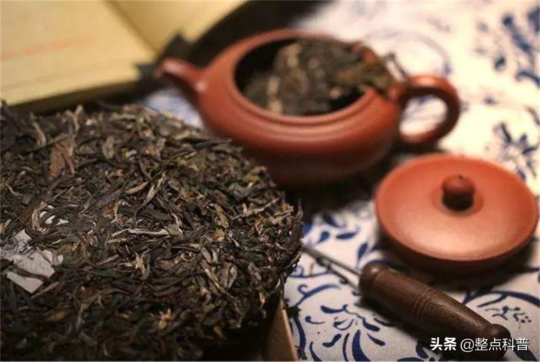 普洱茶熟茶里的霉菌,变质的普洱茶熟茶喝了会如何