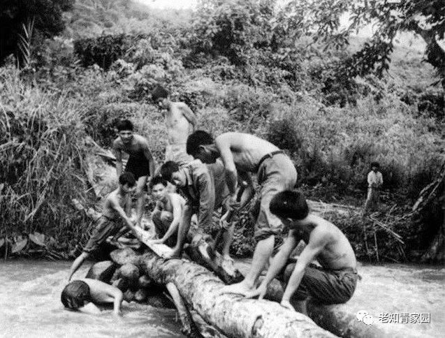 陈凯歌老照片大全集,陈凯歌的知青岁月