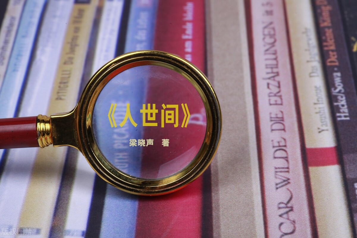 德宝为什么不吹口琴了？——观《人世间》有感（江城子专栏）