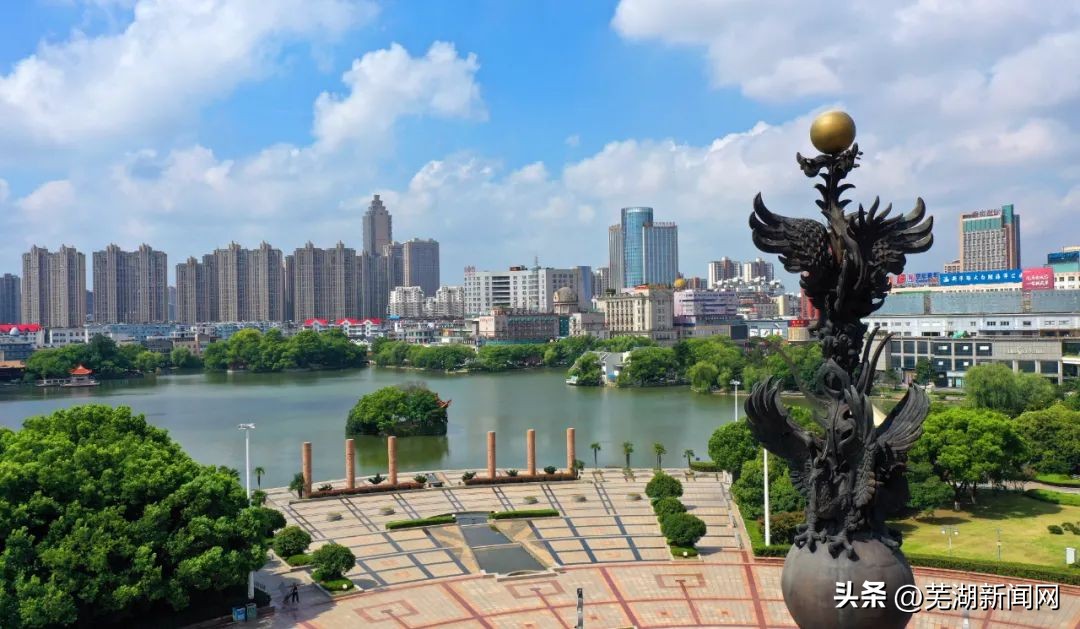 芜湖城乡居民100元意外险报销标准,芜湖个人意外险大概多少钱