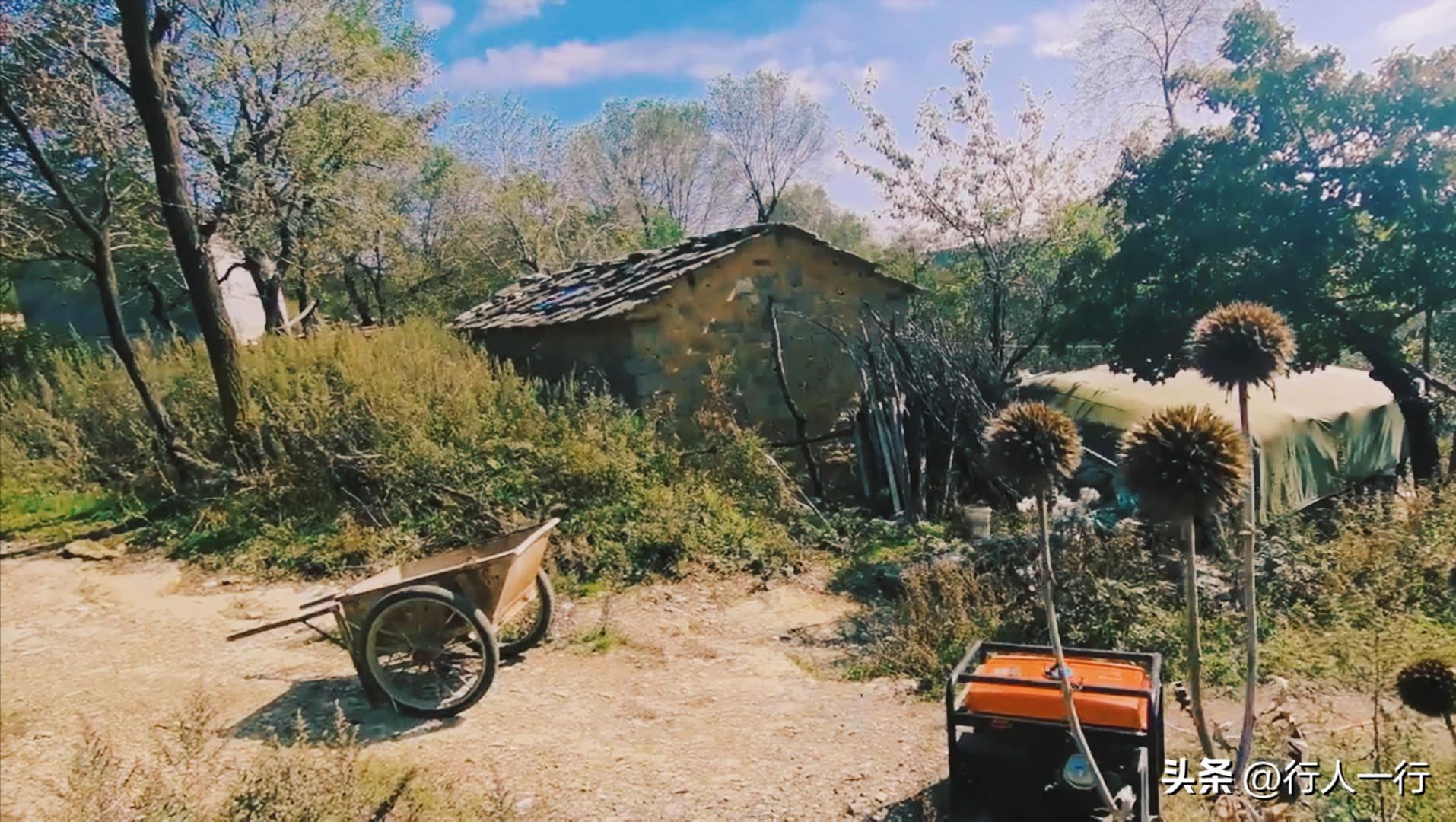 林州海拔最高的村子,林州海拔1200米的山村